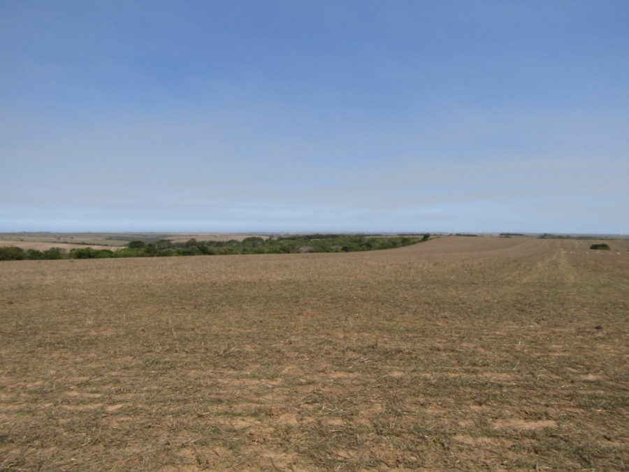 Commercial Property for Sale in Humansdorp Rural Eastern Cape